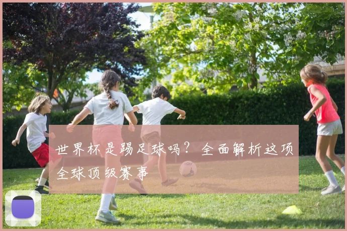 世界杯是踢足球吗？全面解析这项全球顶级赛事