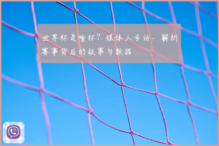 世界杯是啥杯？媒体人专访，解析赛事背后的故事与数据
