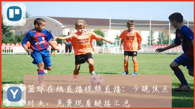 篮球在线直播视频直播：今晚焦点对决，免费观看链接汇总