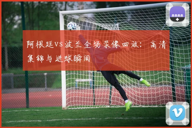 阿根廷vs波兰全场录像回放：高清集锦与进球瞬间